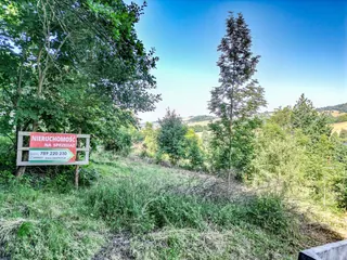 Widokowa działka 2,42 ha - Dziwiszów