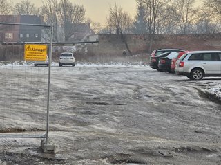 flora-ogrodzona-130430