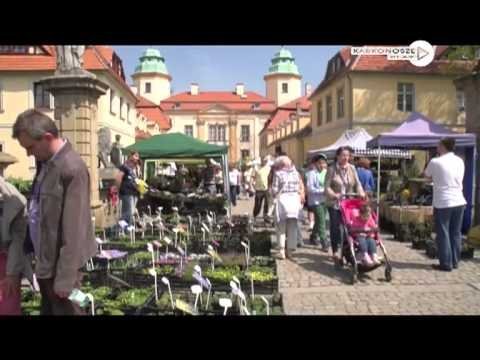 dziennik-2013-05-08-46360