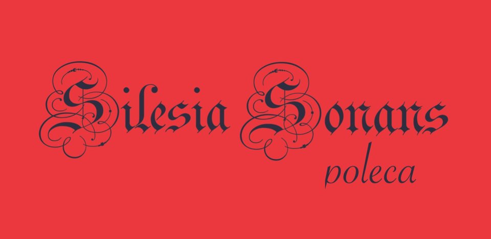silesia-sonans-poleca-10-96507
